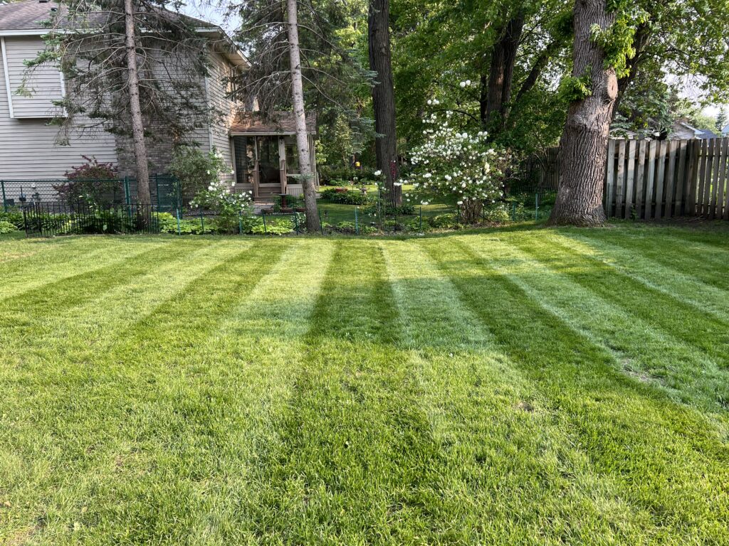 Residential Yard mowed by Land of 10,000 Lawns