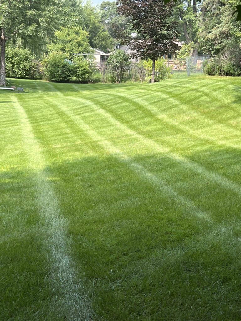 Residential yard mowed by Land of 10,000 Lawns