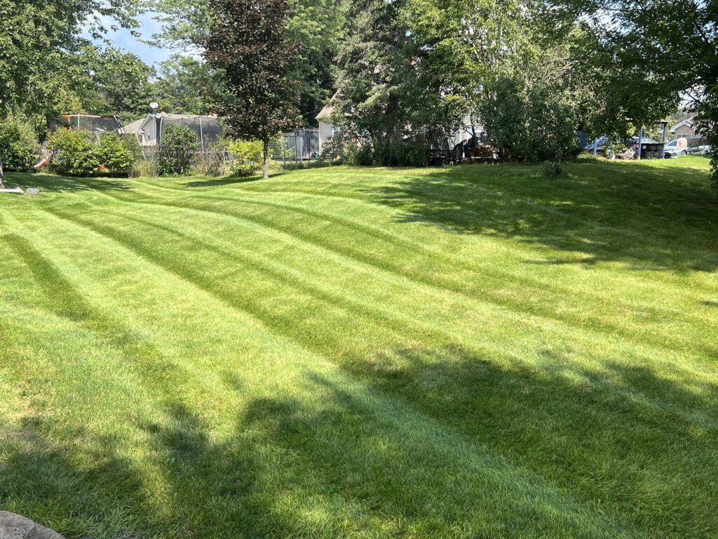 Residential Yard mowed by Land of 10,000 Lawns