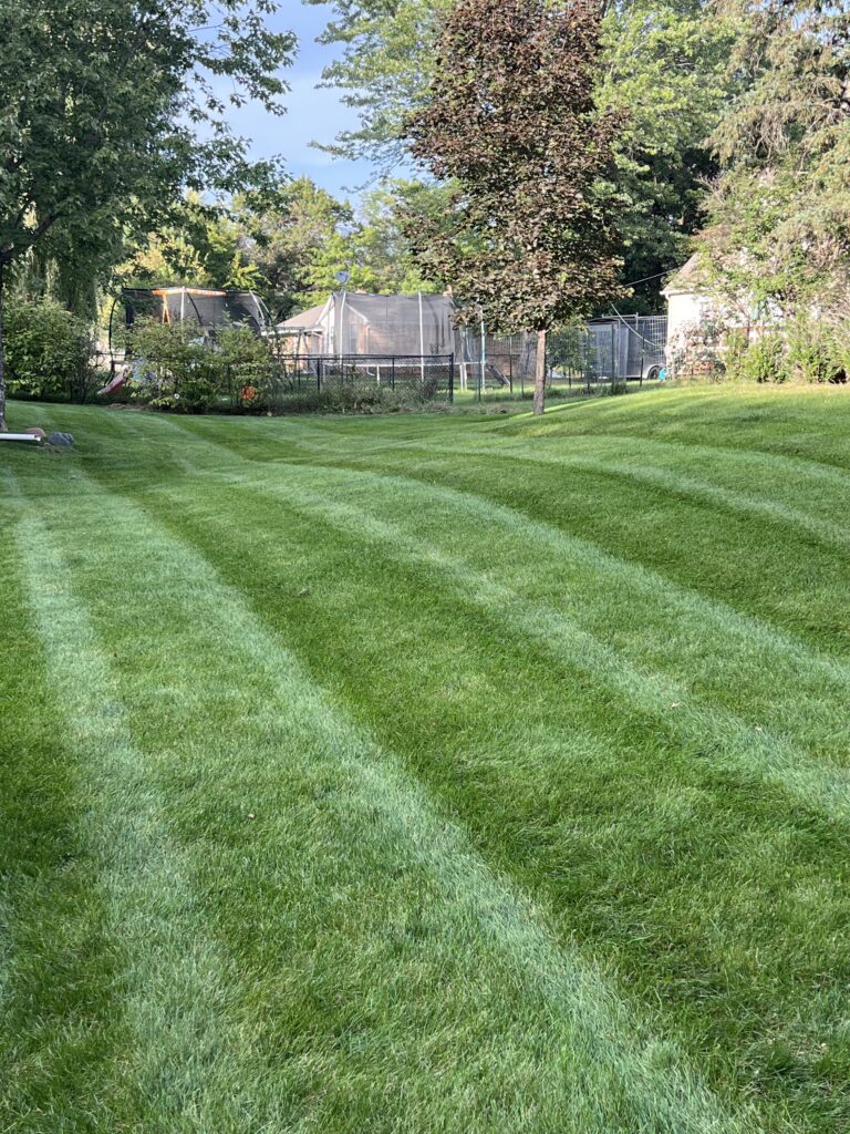 Residential Yard mowed by Land of 10,000 Lawns
