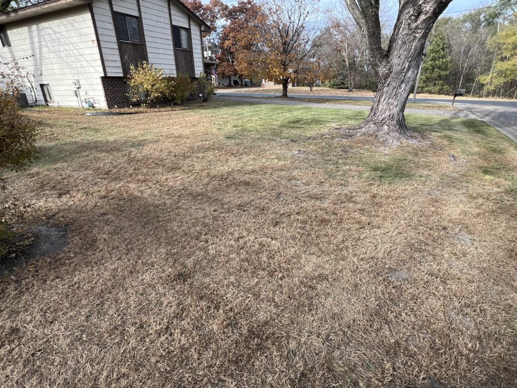 Picture showing grass on residential yard after a fall leaf cleanup