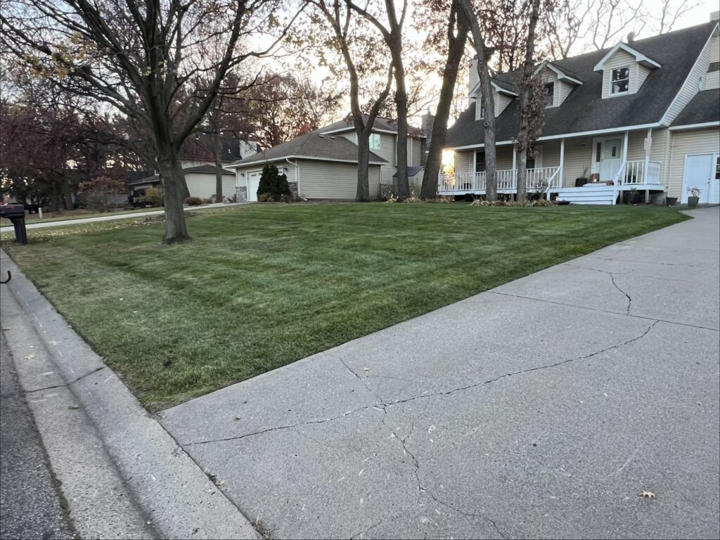 Residential yard after a fall leaf clean up was performed